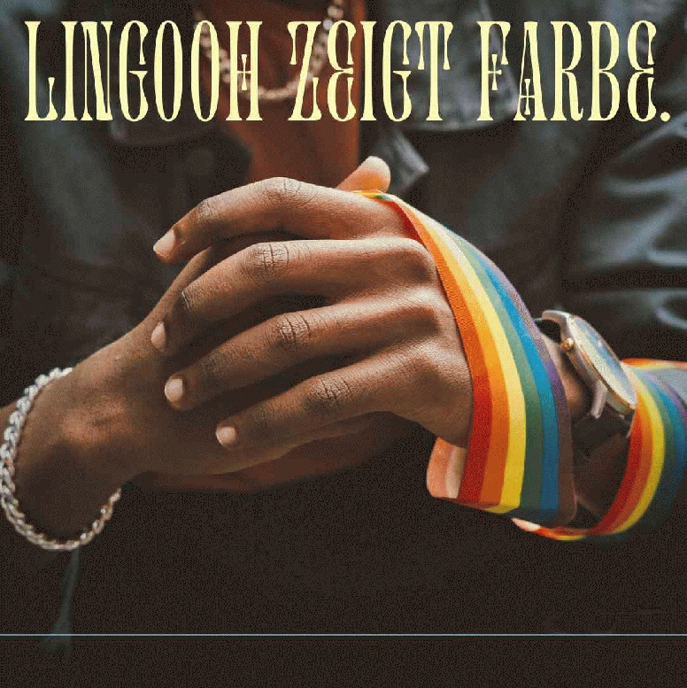 Weltweit einzigartiger Sprachkurse Lingooh Amor & Lingooh Gay sucht aktiven Teilhaber Bild 2