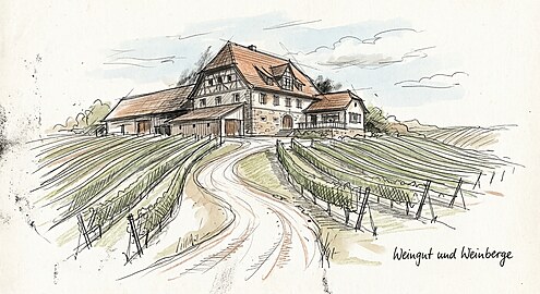 Besondere Gelegenheit : Hochdekoriertes, vielfach ausgezeichneten Weingut zu erwerben