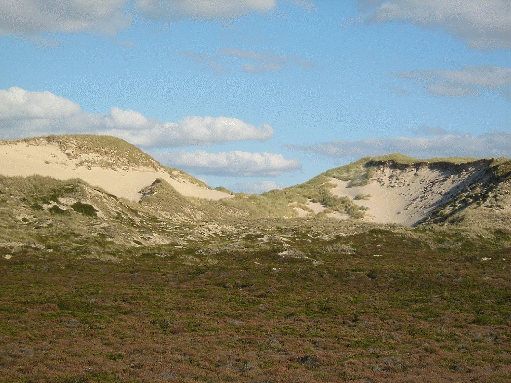 Traumobjekt auf Sylt