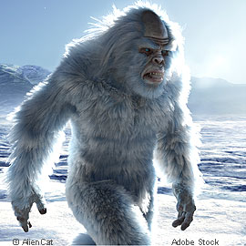 gesuche.de header Bild 86